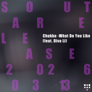What Do You Like — Chukku feat. Diva Li