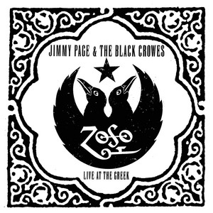 Live at the Greek - The Black Crowes, Jimmy Pa | AllMusic