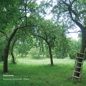 HENNING SCHMIEDT / SPAZIEREN [2LP - FLAU23]：AMBIENT / NEW AGE