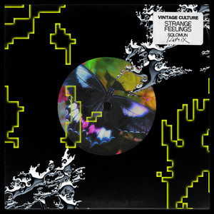Écouter "Strange Feelings - Solomun Remix" de Solomun