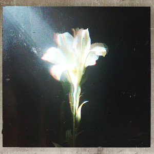 Écouter "Light That Leads Me" de Netsky