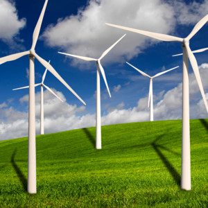 Winds May Come and Go