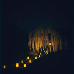 Hold Me Under Starlight