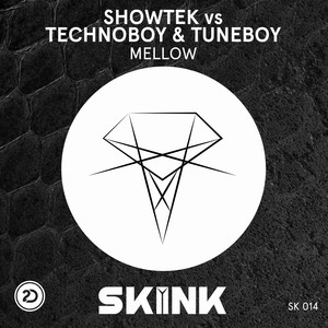 Écouter "Mellow" de Showtek