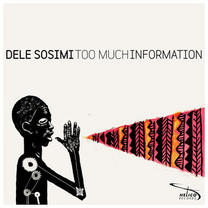 Too Much Information - Dele Sosimi single