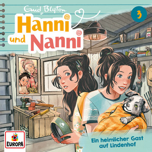 Cover: Ein heimlicher Gast auf Lindenhof