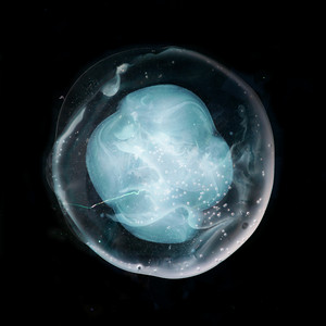 Écouter "Our Lord Debussy" de Adam Wiltzie