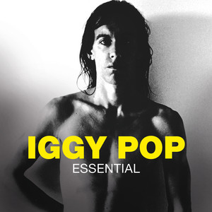 Écouter "Louie Louie" de Iggy Pop