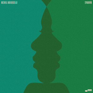 Cover artwork for Synonym by Meshell Ndegeocello