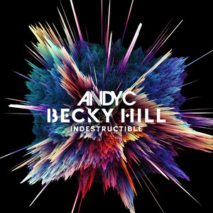 Écouter "Indestructible - Day To Night Mix" de Andy C