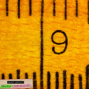 Écouter "What about" de PENOMECO