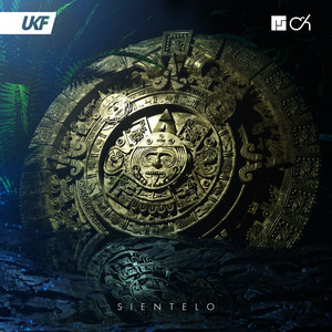 Écouter "Sientelo" de Camo & Krooked