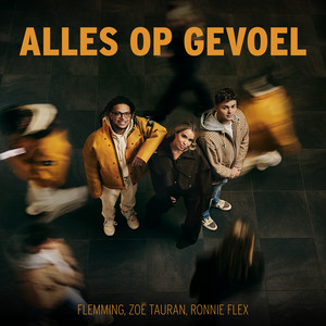 Écouter "Alles Op Gevoel" de Ronnie Flex