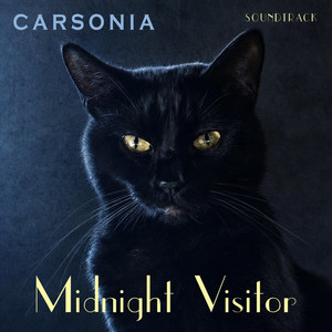 Midnight Visitor – Sunbury Press Bookstore