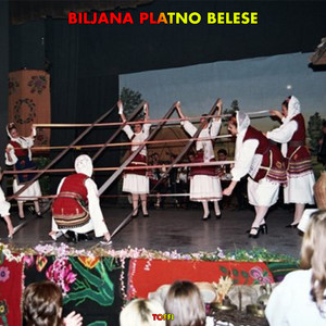Biljana Platno Belese artwork
