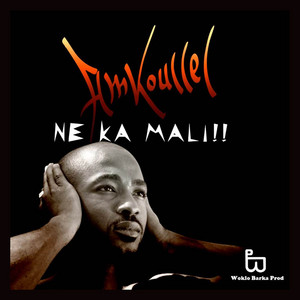 Amkoullel on Spotify