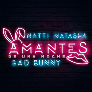 Écouter "Amantes de una Noche" de NATTI NATASHA