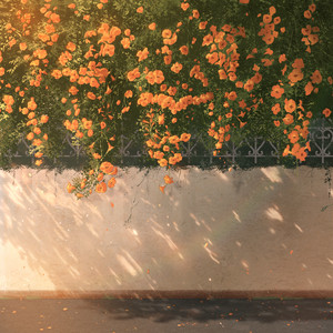 Reminiscence