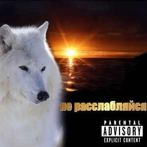 не расслабляйся artwork
