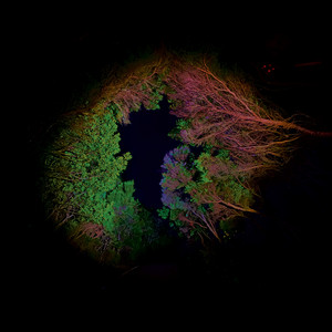 Écouter "Hidden Island Music (Untitled #398)" de Francisco López