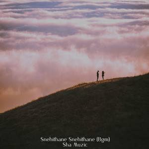 Snehithane Snehithane Bgm artwork