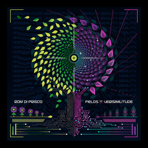 Official cover artwork for Fields of Verisimilitude by Rom Di Prisco