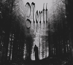 Nortt