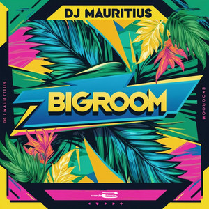 Bigroom artwork