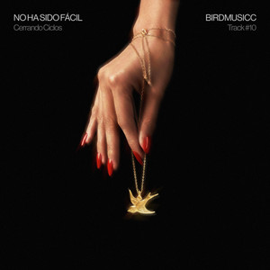 BirdMusicc — No Ha Sido Fácil