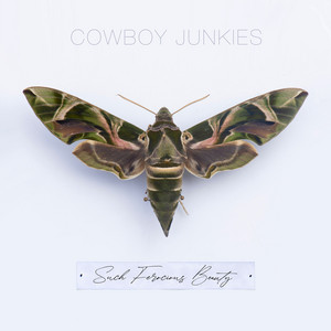 Écouter "What I Lost" de Cowboy Junkies