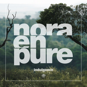野良 NORA ソノシート 80` インディーズ PUNK Delight In Nora En Pure's New Melodic House Single, 
