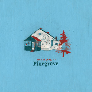 Pinegrove - Amperland, NY 2xLP Vinyl Record