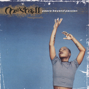 Me'Shell Ndegeocello / Peace Beyond Passion - 自分の聴覚に多大な