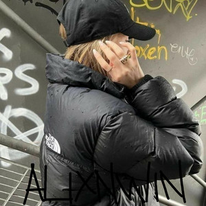 Disaster Alternative artwork