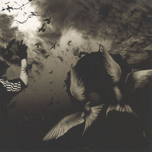 PIERROT 全曲紹介（Single） | PIERROT UNOFFICIAL SITE【mimuroid】
