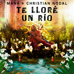 Écouter "Te Lloré Un Río - Versión Mariacheño" de Maná