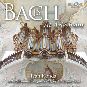 J.S. Bach: At Arlesheim - Brilliant Classics