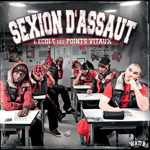 Écouter "Rien n' t'appartient" de Sexion d'Assaut
