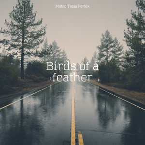 Birds of a Feather House artwork