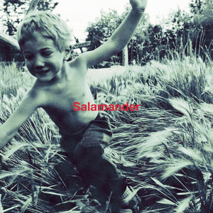 細美武士の15曲【ELLEGARDEN/the HIATUS/MONOEYES】 - Football