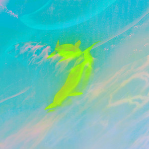 青葉市子 / LUMINESCENT CREATURES (DELUXE EDITION) / LP | Record CD
