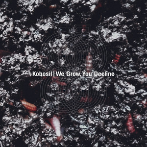 Écouter "Aim For Target" de Kobosil