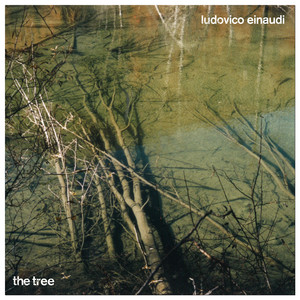 Écouter "The Tree" de Ludovico Einaudi