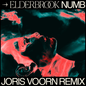 Écouter "Numb - Joris Voorn Remix, Edit" de Joris Voorn