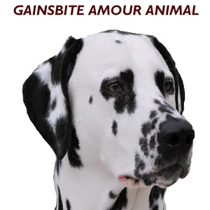 Écouter "Amour animal final" de Gainsbite