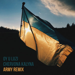 Обкладинка: Ой У Лузі Червона Калина (Army Remix)
