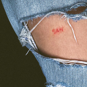 Sam cover