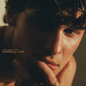 Écouter "Summer of Love (Shawn Mendes & Tainy)" de Shawn Mendes