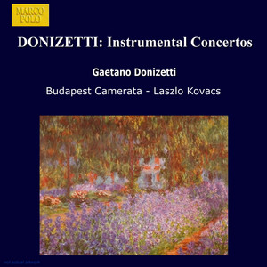 Écouter "Clarinet Concerto in B-Flat Major: Andante sostenuto" de Gaetano Donizetti