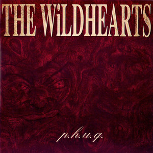 THE WiLDHEARTS 『P.H.U.Q.』（1995年） アルバム・レビュー - Tomozy